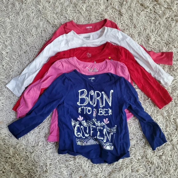 2T Girl Long Sleeve, Pants, Sweatshirt Lot